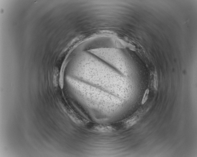 X0000085290712200703231833