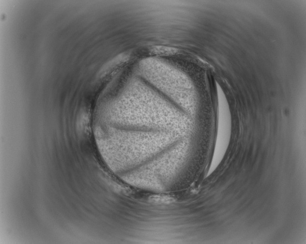 X0000085290714200703231833