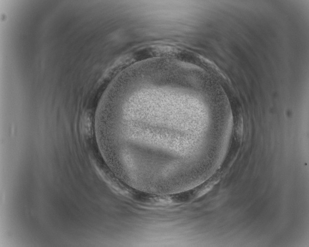 X0000085290715200703231833