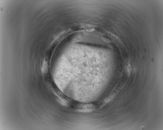 X0000085290716200703231833