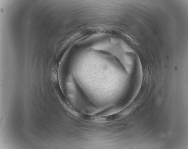 X0000085290719200703231833