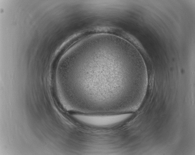 X0000085290722200703231832