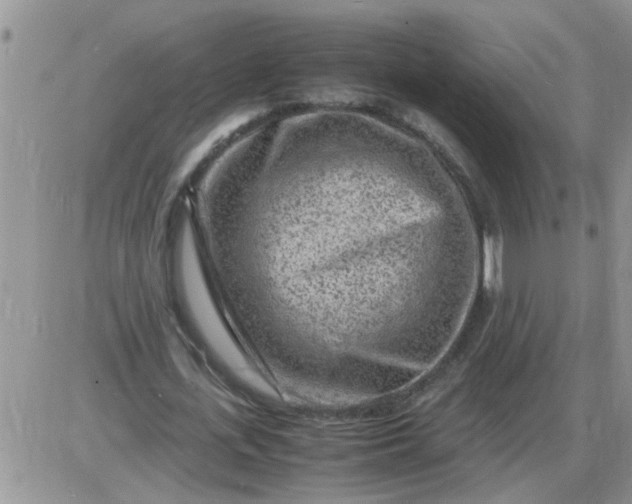 X0000085290723200703231832