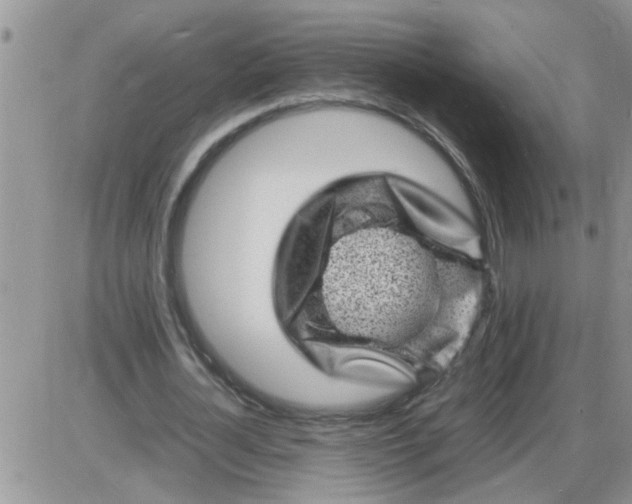 X0000085290724200703231832