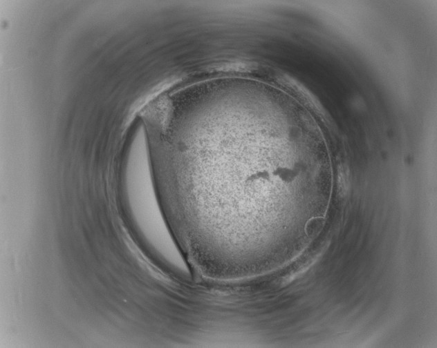 X0000085290725200703231832