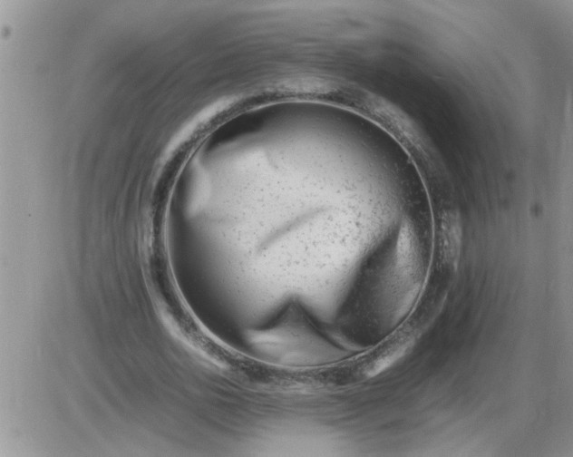 X0000085290726200703231832