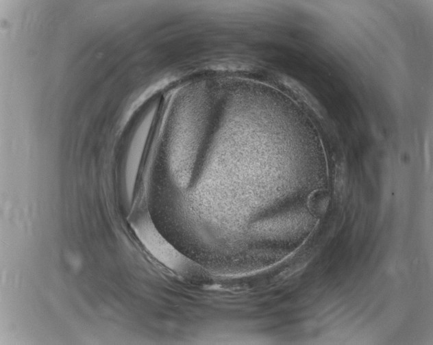 X0000085290727200703231832