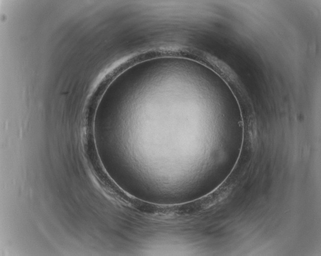 X0000085290728200703231832