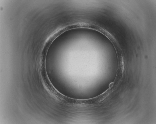 X0000085290730200703231832