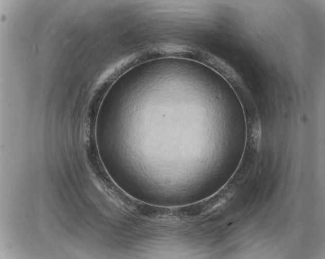 X0000085290732200703231832