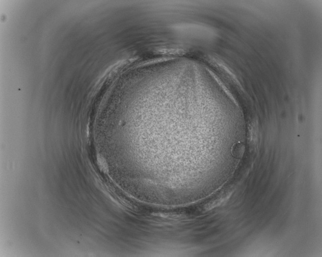 X0000085290733200703231832