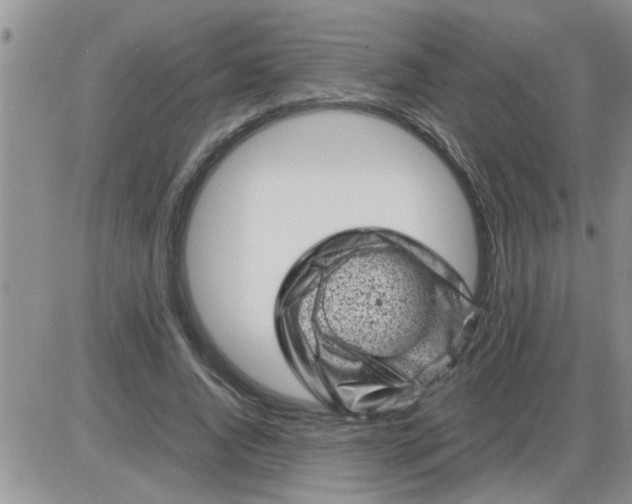 X0000085290736200703231832