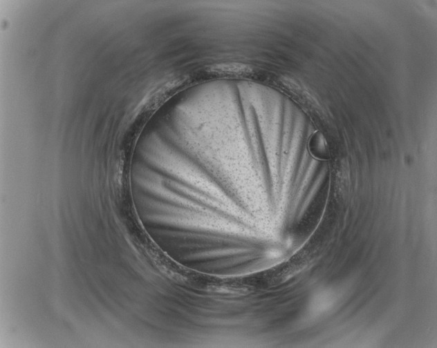 X0000085290739200703231832