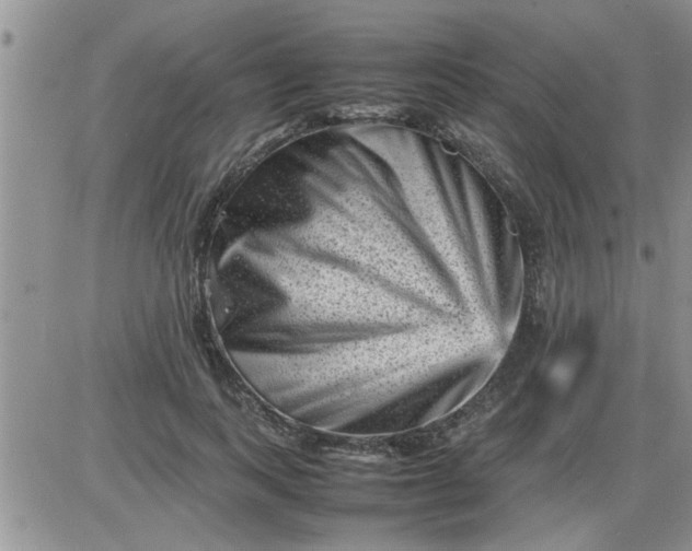 X0000085290743200703231832