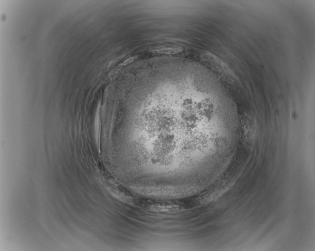 X0000085290745200703231832