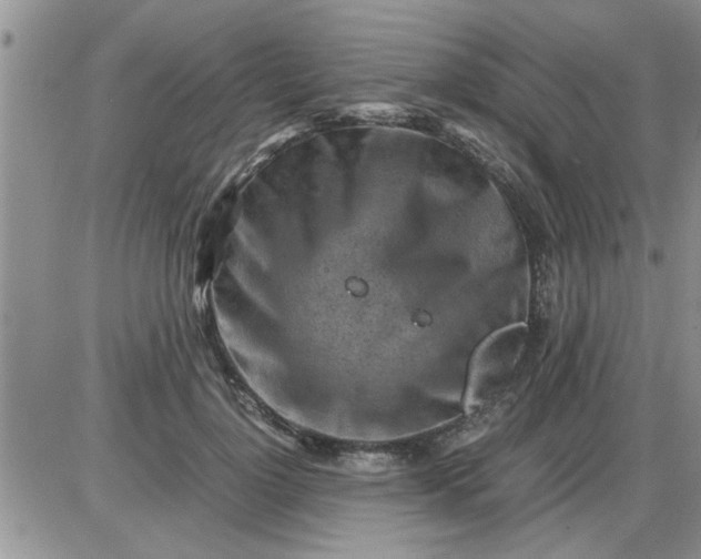 X0000085290748200703231832