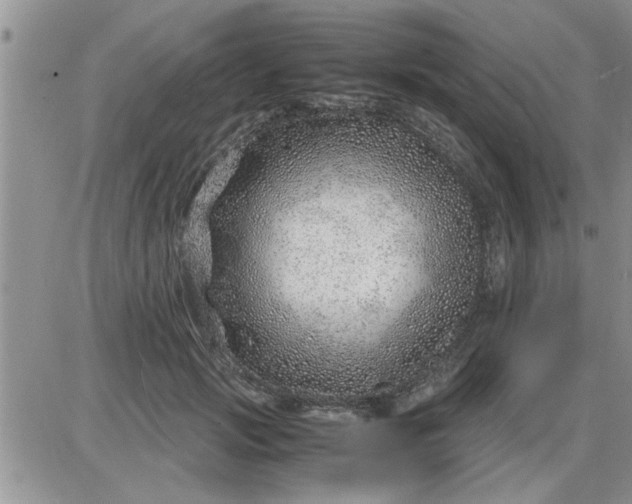 X0000085290749200703231832