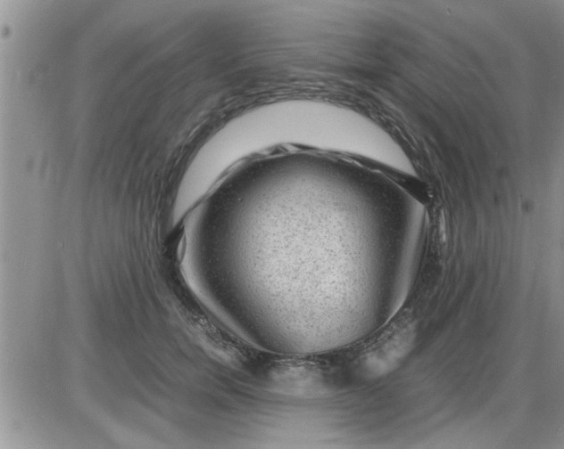 X0000085290750200703231832