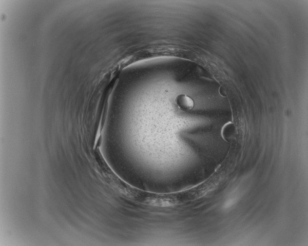 X0000085290751200703231832