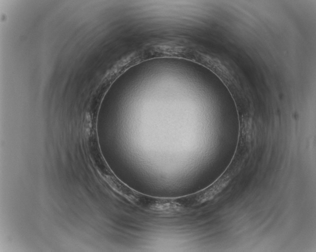 X0000085290752200703231832