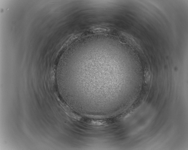 X0000085290753200703231832