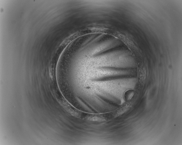 X0000085290755200703231832