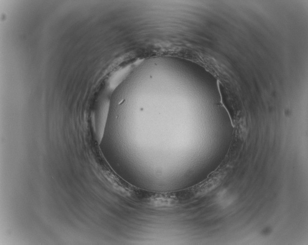 X0000085290756200703231832