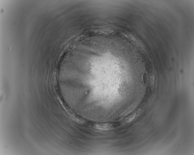 X0000085290757200703231832