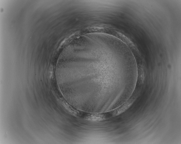 X0000085290758200703231832