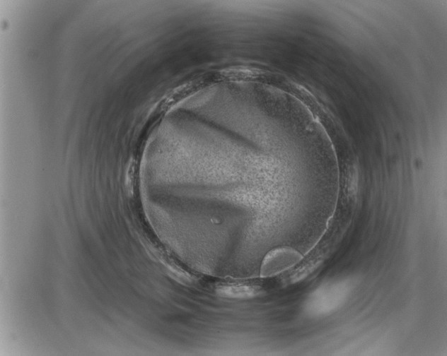 X0000085290759200703231832