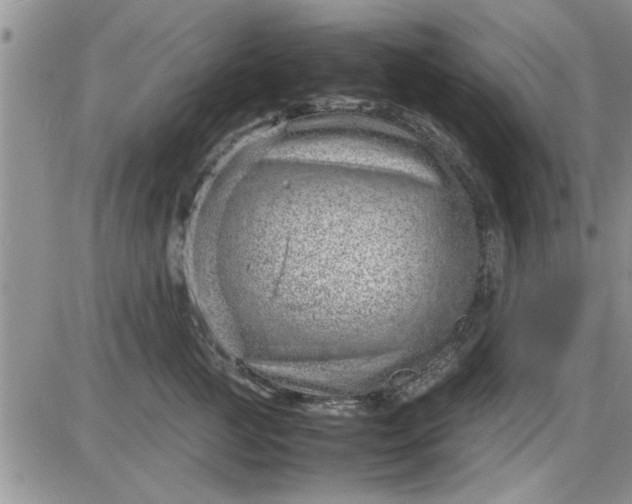 X0000085290761200703231832