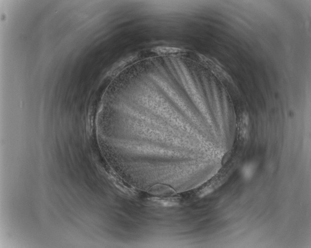 X0000085290763200703231832