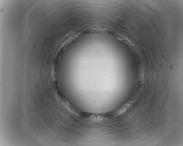 X0000085290764200703231832