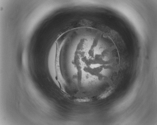 X0000085290765200703231832