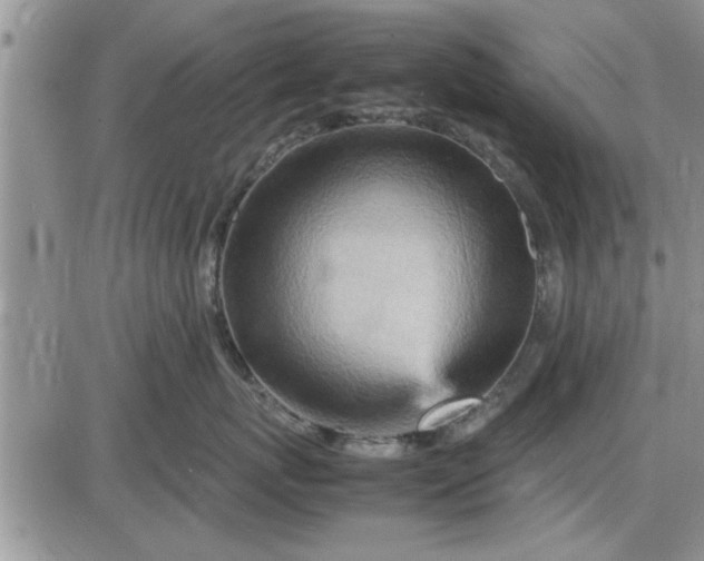 X0000085290767200703231833