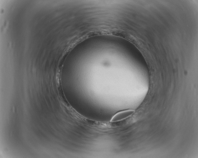 X0000085290768200703231833