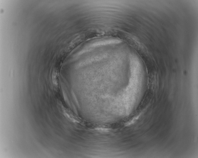 X0000085290770200703231832