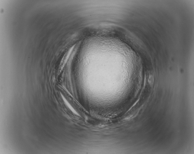 X0000085290771200703231832