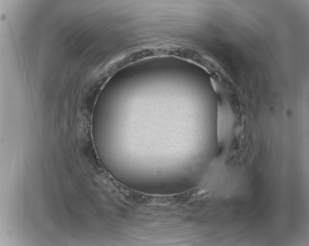 X0000085290773200703231832