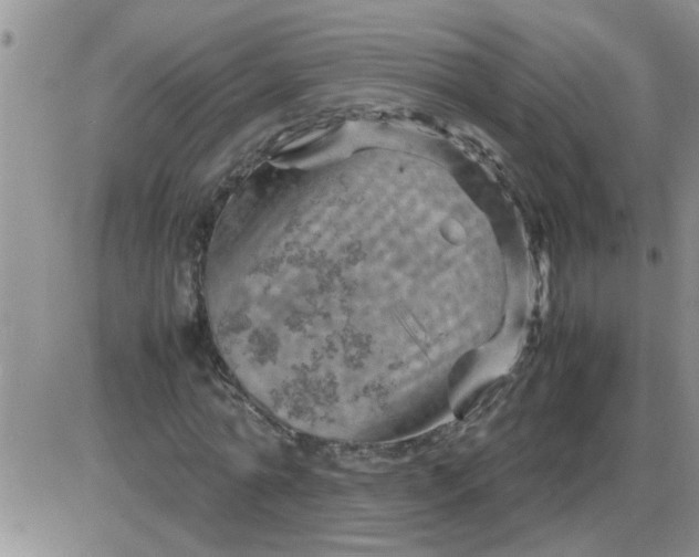 X0000085290774200703231832