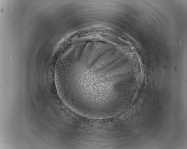 X0000085290776200703231832