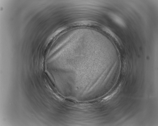 X0000085290778200703231832