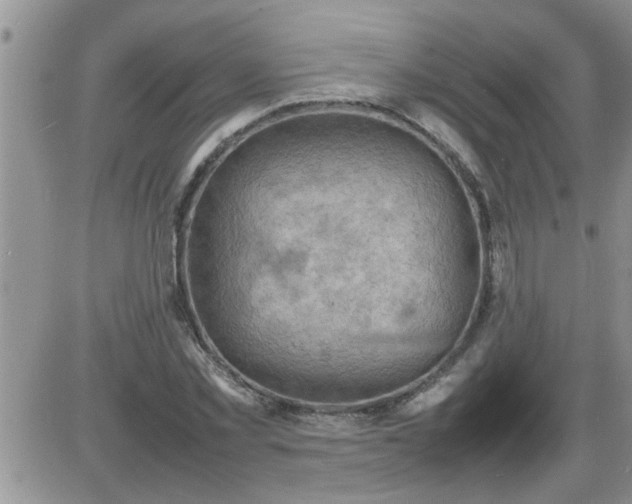 X0000085290781200703231832