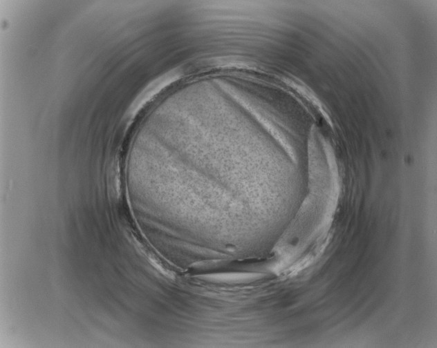 X0000085290782200703231832