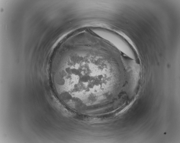 X0000085290783200703231831