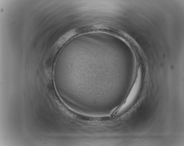 X0000085290785200703231831