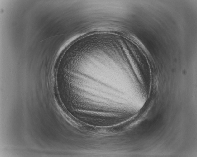 X0000085290787200703231831