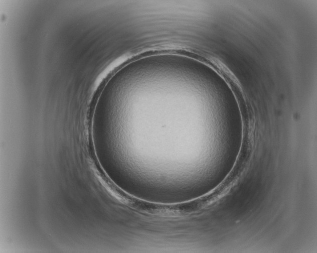 X0000085290789200703231831