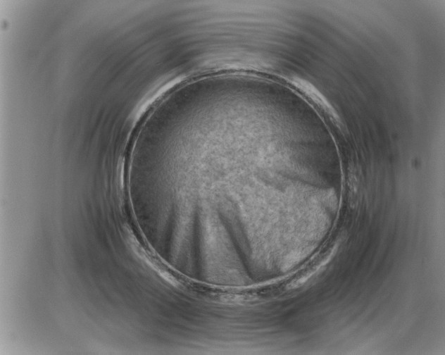 X0000085290790200703231831