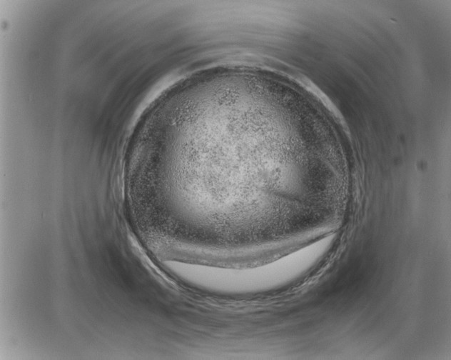 X0000085290791200703231831